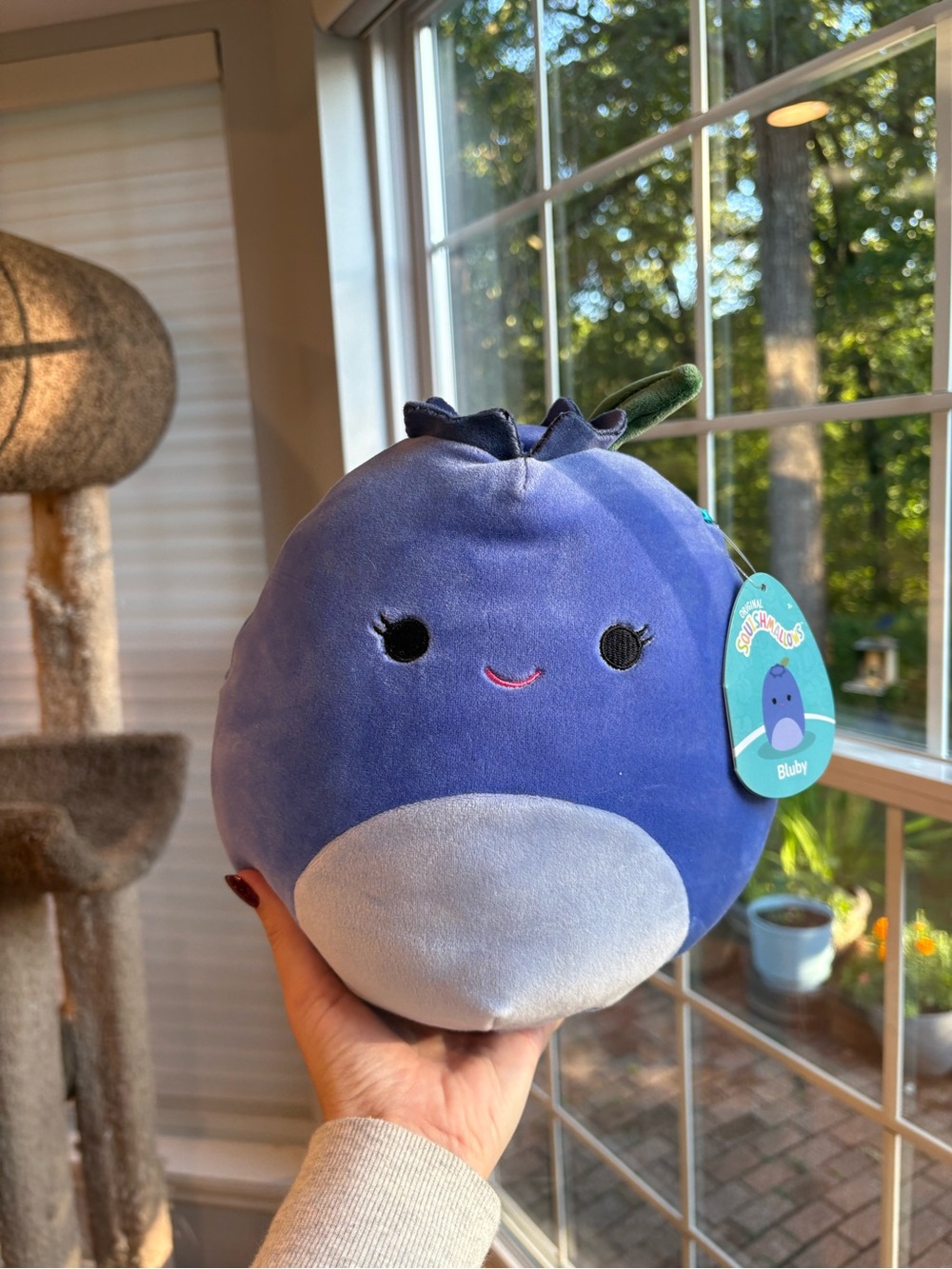 Bluby the blue blueberry squishmallow NWT 8in